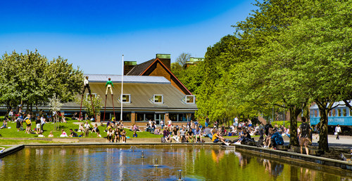 Pond